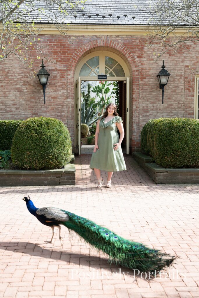Senior Photos Kingwood Center Gardens Mansfield Ohio Flower Senior Photos Ohio